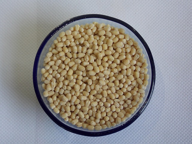 Minapa Gundu (Garudadri)
